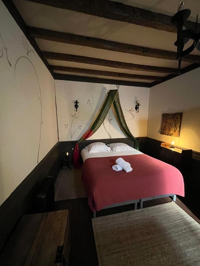 Une Nuit Comme Un Chevalier! Coeur Historique - Hypercentre. Troyes Eksteriør billede